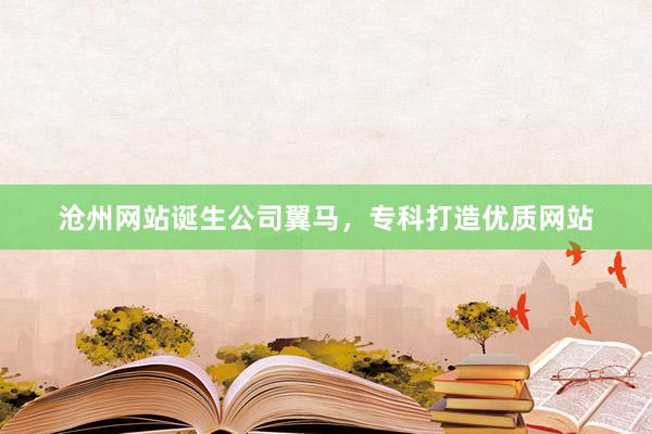 沧州网站诞生公司翼马，专科打造优质网站